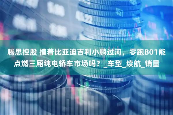腾思控股 摸着比亚迪吉利小鹏过河，零跑B01能点燃三厢纯电轿车市场吗？_车型_续航_销量