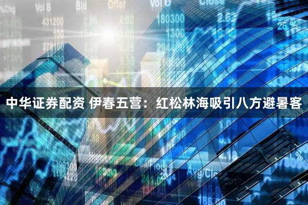 中华证券配资 伊春五营：红松林海吸引八方避暑客