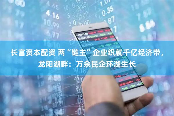 长富资本配资 两“链主”企业织就千亿经济带，龙阳湖畔：万余民企环湖生长